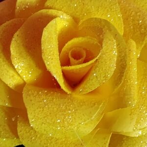 Jay's Unique Hand Made Fowers For All Occasions.Sparkling Yellow Rose Decoration